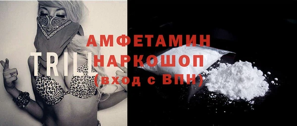 крисы Покачи
